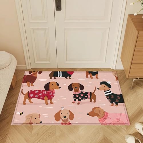 Pink Dachshund Dog Bath Mat Rug, Door Mat Doormat Entrance Non-Slip Bathroom Rugs for Entryway Bathroom Kitchen 17 x 30 Inch - color: Pink Dachshund Dog
