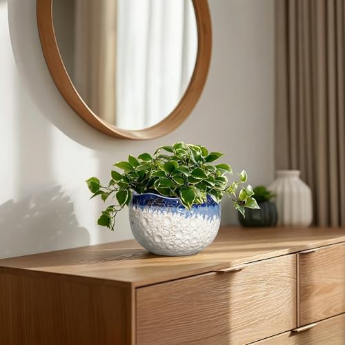 Ceramic Plant Pots, 6 Inch Orchid Pot with Drainage, Beige-Blue - color: Beige-blue, size: 6.2 Inch