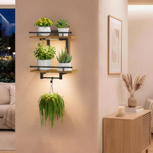 iDavosic.ly Wall Plant Holder with Grow Lights, 2 Tier Display Shelf, Brown - color: Brown with Lights