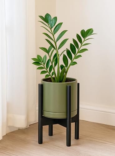 D'vine Dev Ceramic Pot with Ebony Wood Stand, Olive, 8 in, 55-B-M-J - color: Olive Pot + Ebony Stand, size: 8 Inch