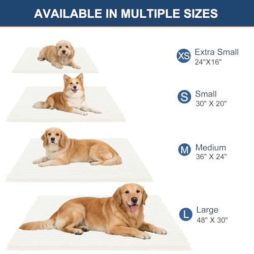 OLANLY Dog Door Mat for Muddy Paws 24x16, Extra Absorbent Chenille Mud Mat - color: Ivory, size: 24" X 16"