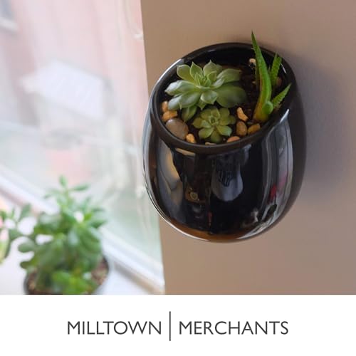 Succulent Wall Planters - Wall Vases - Black Ceramic Wall Mounted Planters - Succulent Plant Pots - Hanging Vases for Living Wall (2 Pack/Modern/Black) - color: Small Black Modern