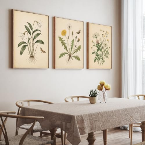 Antique Vintage Botanical Canvas Wall Art Set of 3, Old Paper Wildflower Dandelion Daffodil Butterfly Prints, Farmhouse Neutral Floral Wall Decor, 12x16 Inch framed Plant Posters for Home Decor - color: 02-framed, size: 12" L x 16"W