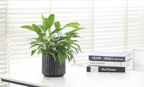 Ceramic Planter Pot with Drainage Hole, 5 Inch Dia, Indoor and Outdoor, Home Patio Garden, Plants&Flowers, Textured Round (Black) - style: Textured Round-Black
