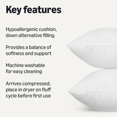 Amazon Basics Throw Pillow Insert, Down Alternative Fiberfill, Hypoallergenic, Machine Washable, 20 Inch, 2-Pack, for Sofa Bed Couch - size: 20 x 20 inches, style: 2 Pack