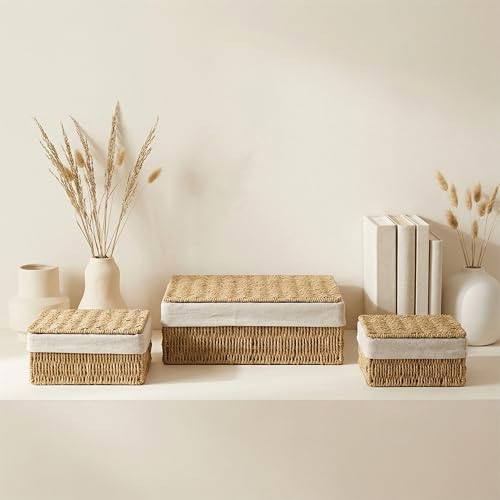 Large Storage Baskets with Lid Set of 3, Woven Bins with Liner - size: Large with Lids