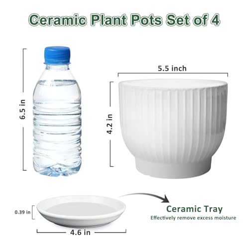 5.5 Inch Ceramic Plant Pot,White, 4 Pack - color: Pure White, size: 5.5 Inch(4 PCS)