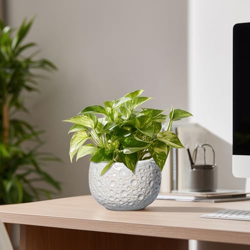Ceramic Plant Pots 6 Inch, Ceramic Orchid Pot with Drainage, Grey - color: Gray, size: 6.2 Inch