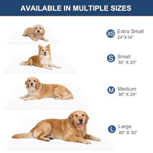 OLANLY Dog Door Mat for Muddy Paws 24x16, Extra Absorbent Chenille Mud Mat - color: White, size: 24" X 16"