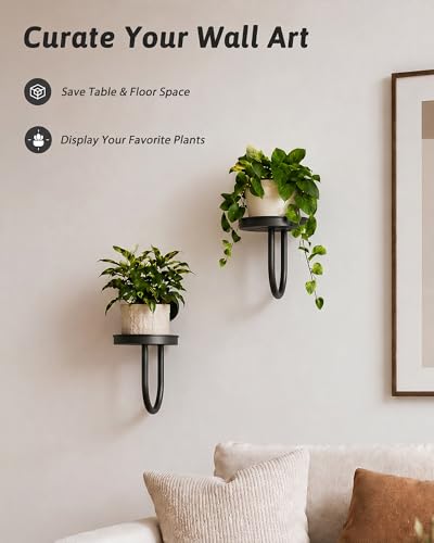GENTINGBRO Plant Stands Hanging Planters for Indoor Plants Wall Plant Holder Plant Hanger Indoor Wall Planter Window Plant Hanger Plant Decor Black 2 Pack