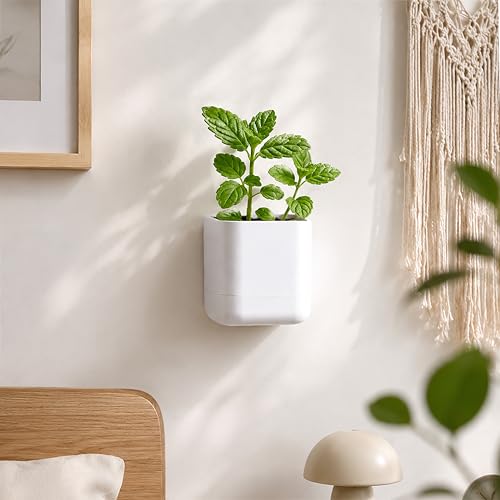 Phoenix Vine 3.5 Inch Wall Mounted Self-Watering Planter Pot for Indoor Houseplants and Herbs | Hanging Planter for Window Sills, Bathroom Walls, Home & Office Décor, White, Set of 3, 01-A-D-3 - color: White, size: 3.5" (3 Pack)