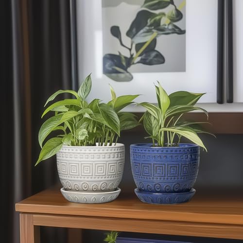 G EPGardening Ceramic Pots for Plants, 5 Inch Plant Pot, White - color: Palindrome White