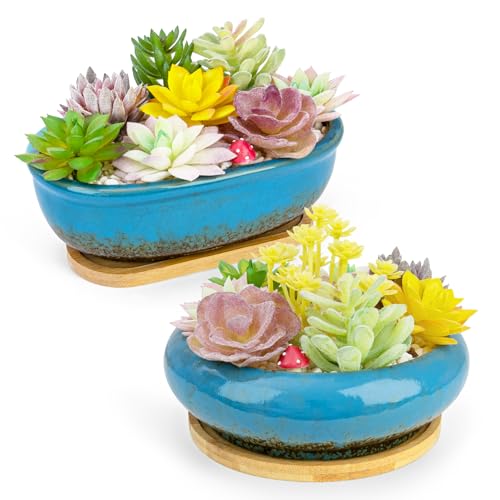 Succulent Pots, 1 Rectangle Planter + 1 Ceramic Bonsai Pots with Drain Tray - color: Blue