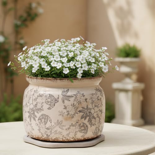 Farmhouse Ceramic Plant Pots with Decorative Saucer, Gifts for Plant Lovers - color: Rustic Grey, size: 7.7 in - w/ Saucer
