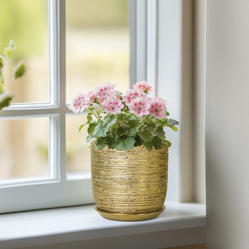 Succulent Pot 5 Inch, Ceramic Plant Pot for Indoor Flowers, Gold - color: Gold, size: 5.3 Inch