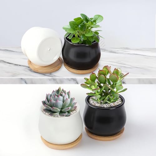 SHECIPIN 2 Pack Succulent Pots, 2.5 Inch Mini Ceramic Pots for Flower or Cactus Plants with Drainage Hole,Plants Not Included (Black) - color: 2 Pack Black Mini Pots
