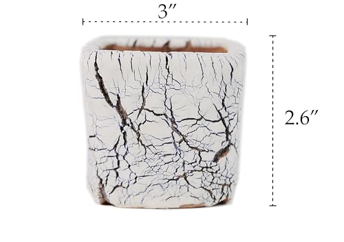 Ceramic Planter Pots w/Drainage, 3 Inch Set of 2, Indoor Outdoor Home Patio Garden Plants Flower Succulent, Crackle-Texture Square - style: Crackle-Texture Square-3" (2 pack)