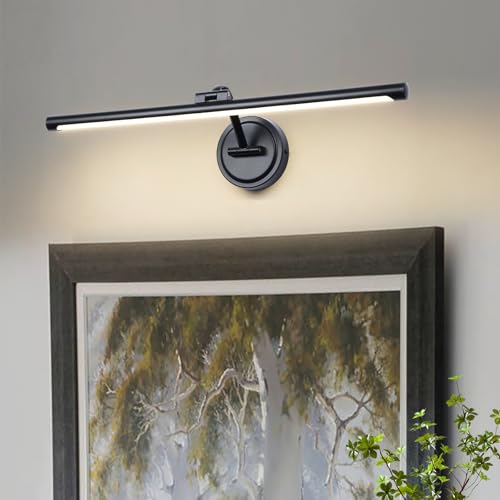 Hardwired 23.6 Inch 14W Black Picture Lights for Wall LED Picture Frame Light Dimmable Painting Lights for Wall Portrait Artwork Warm White - color: Hard-wired Black-Dimmable, size: 24 Inch
