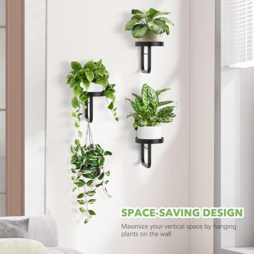 3 Pack Wall Plant Holder for Hanging Planters Indoor Outdoor Black - color: Black-3pcs15cm