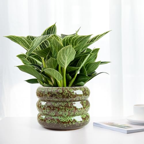 Ceramic 6 inch Plant Pot - Planter for Indoor Plants with Drainage Hole - color: Green-s