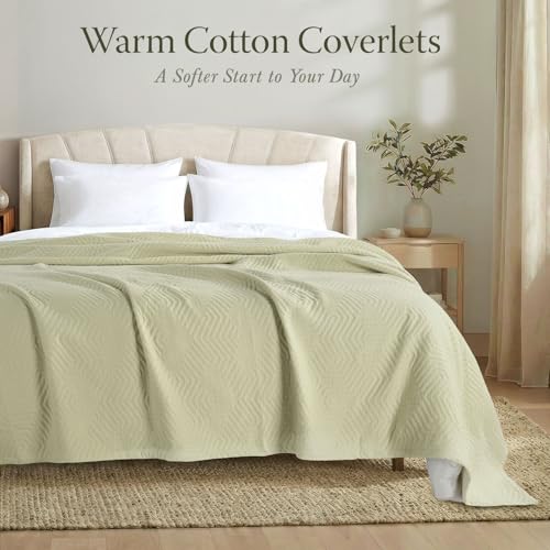 Threadmill Luxury Cotton Blankets for Queen Size Bed | All-Season 100% Cotton Queen Size Blanket | Aster Cozy Lightweight, Soft Breathable Coverlet fits Full Size Bed, 90x92 | Sage Green - color: Aster Sage Green, size: Queen / Full