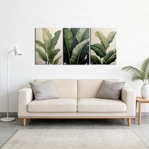 Doqueodas 3Pcs Tropical Leaf Canvas Wall Art12 x16 inch Framed - color: Banana leaf plants Framed, size: 16"Lx 12"W