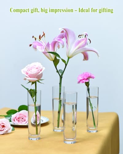 16PCS Glass Cylinder Bud Vases, 7.48" H x 1.81" W, Clear