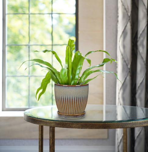 Ceramic Pots for Indoor Plants 4.9 +5.7 inch Pots for Plants - color: Brown&grey - 4.9" & 5.7" Set