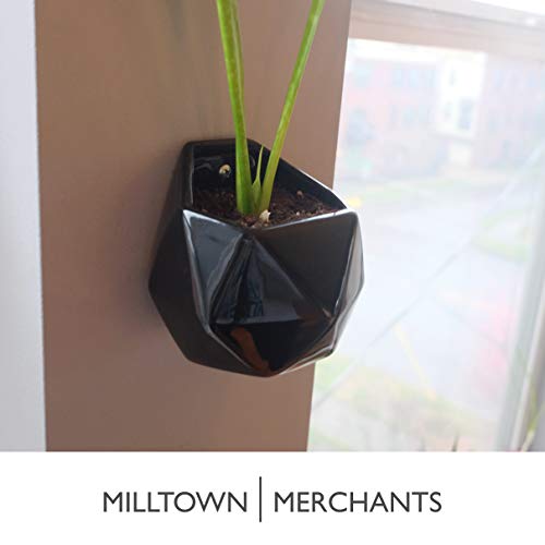Succulent Wall Planters - Wall Vases - Black Ceramic Wall Mounted Planters - Succulent Plant Pots - Hanging Vases for Living Wall (2 Pack/Geometric/Black) - color: Small Black Geometric