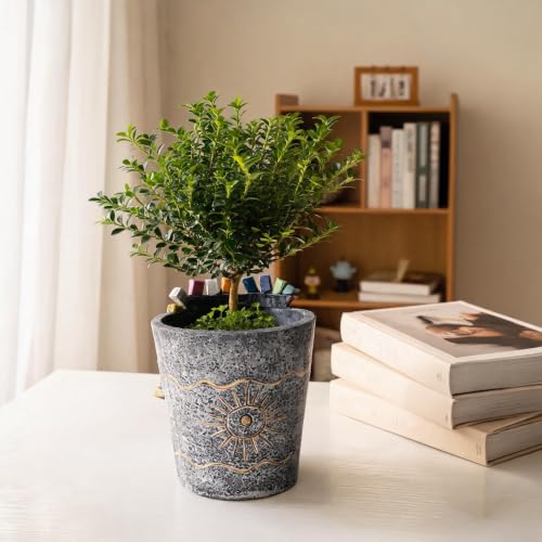 Planter Pot with Drainage Hole, Abstract Face Pot - color: 3