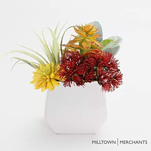 Succulent Wall Planters - Wall Vases - White Ceramic Wall Mounted Planters - Succulent Plant Pots - Hanging Vases for Living Wall (2 Pack/Contemporary/White) - color: Large White Contemporary