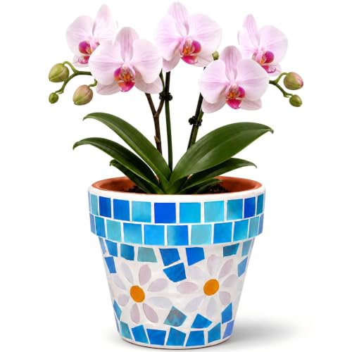 Ceramic Small Plant Pot with Drainage Hole, 4 in Succulent Planter - color: Flower