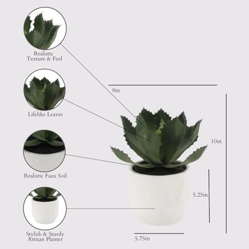 CG Hunter, Round Faux Succulent Arrangement, Set of 2, Home Decor - size: 10" Round Set-of-2