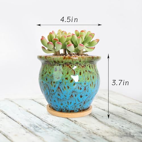 ARTKETTY Succulent Pots - 4 Pack Small Plant Pots with Drainage Tray - color: 4.5'' Colorful 1
