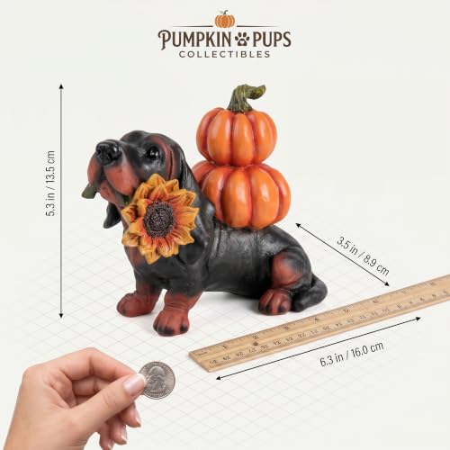 Fall Dachshund Pumpkin Dog Figurine Decor, Thanksgiving Dog Statue - color: Dachshund