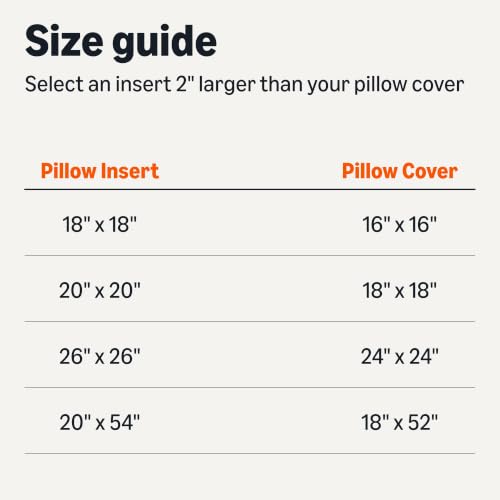 Amazon Basics Throw Pillow Insert, Down Alternative Fiberfill, Hypoallergenic, Machine Washable, 20 Inch, 2-Pack, for Sofa Bed Couch - size: 20 x 20 inches, style: 2 Pack