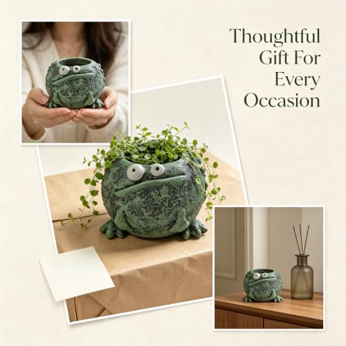 Cute Frog Resin Succulent Planter with Drainage Hole Garden Desk Decor Gift - color: B05-frog