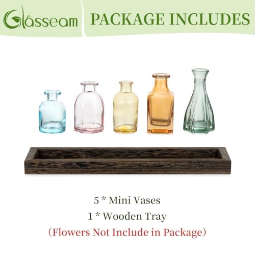 Glasseam Glass Bud Vase for Centerpiece: Small Flower Vases in Wooden Tray - color: Colorful-amber