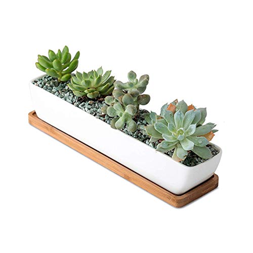 SeaStar Long Rectangular White Ceramic Succulent Planter Pot with Bamboo Tray,Perfect for displaying Succulent Arrangements on Desk, Window sill and Office Table. Plants not Included.