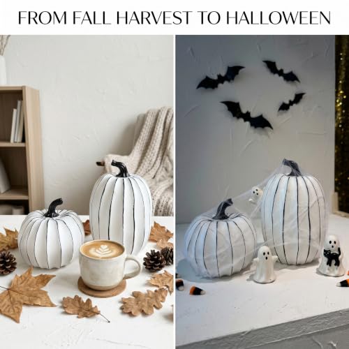 FESTGLOX White and Black Halloween Pumpkin Decor, Small Resin Pumpkin Set - color: White and Black-2pcs