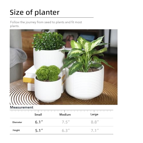 6" Ceramic Plant Pot w/Drainage, White Planter Indoor Outdoor