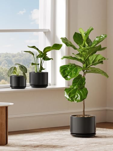 LE TAUCI 10 inch Plant Pot, Ceramic Pots for Plants, Black - color: Black, size: 10"