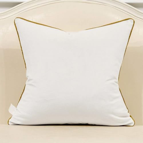 Avigers Throw Pillow Cover 18 x 18 Inch, White Gold, Velvet, Hidden Zipper - color: White, Gold, size: 18" x 18" (Pack of 1)