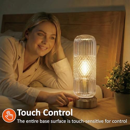 Buruis 11.6 Inch Touch Dimmable Table Lamp with Ribbed Glass Shade, Clear - color: Clear