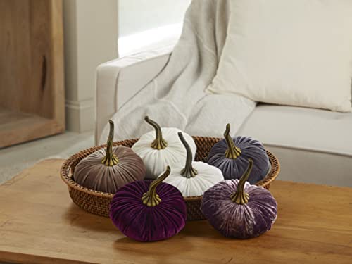 Your Heart's Content Ivory 6.25 inch Velvet Pumpkin (Ivory) - color: Ivory