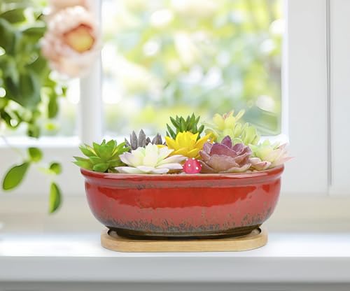 Succulent Pots, 1 Rectangle Planter + 1 Ceramic Bonsai Pots with Drain Tray - color: Red
