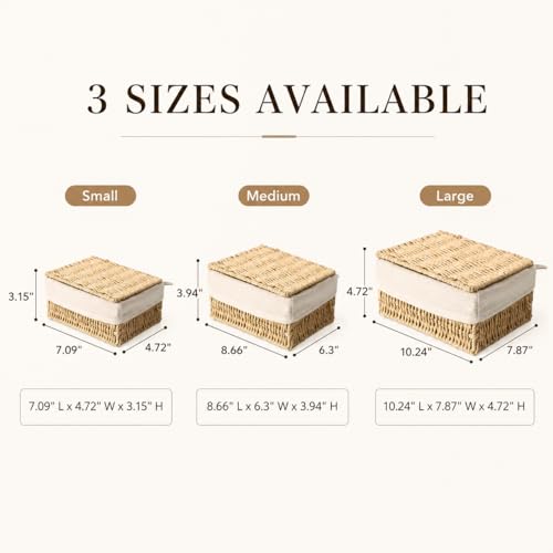 Storage Baskets with Lids Set of 3, Woven Bins with Liner - size: Small with Lids