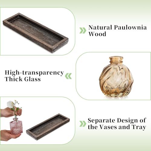 Glasseam Glass Bud Vases for Flower: 5 Pcs Small Vases with Wooden Tray - color: Colorful-embossed