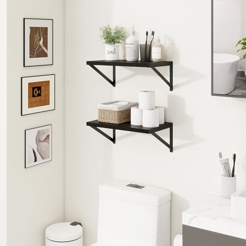 Axeman Deep Floating Shelves, 16'' x 10'' Black Wall Shelves Set of 2 - color: Black, size: 16W x 10D