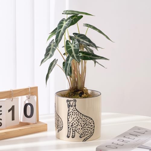 STHIE 5 Inch Ceramic Planters for Indoor Plants, Funny Small Plant Pots - color: Beige-two Panthers